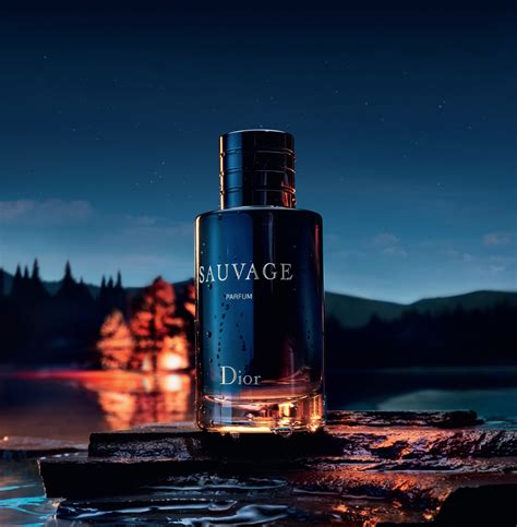 dior homme savage|dior sauvage look fantastic.